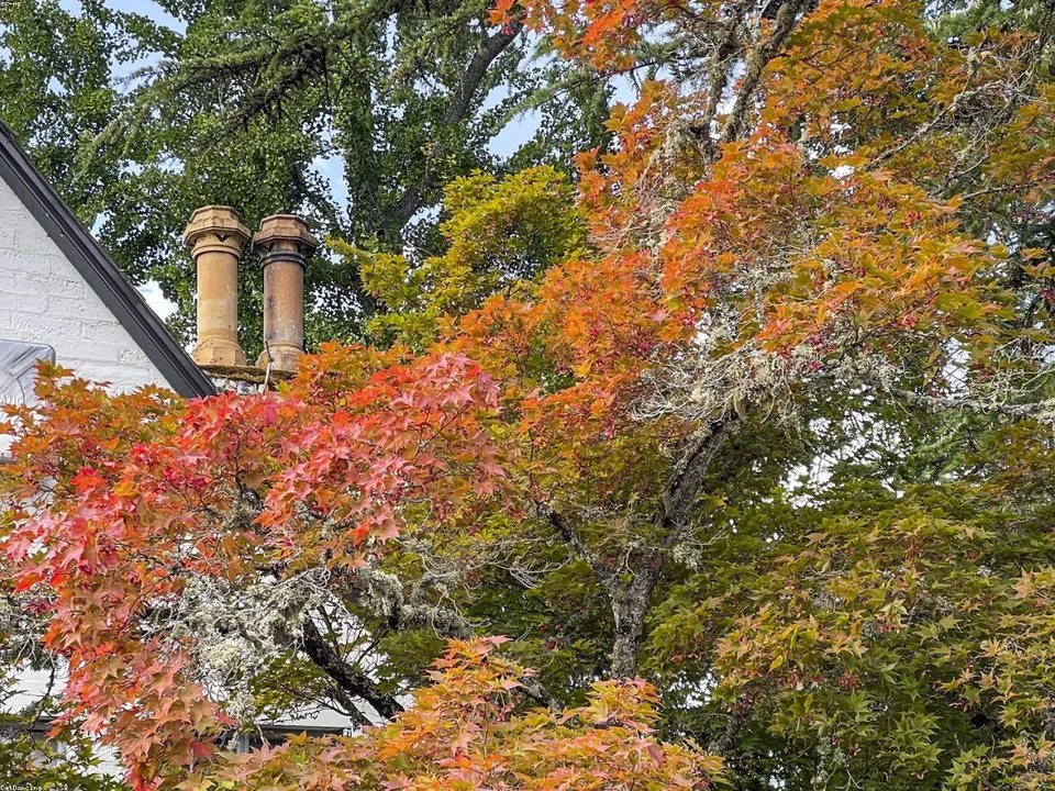 Brick chimney with two metal flues visible above a roof line, surrounded by trees in autumn foliage with red and orange leaves.